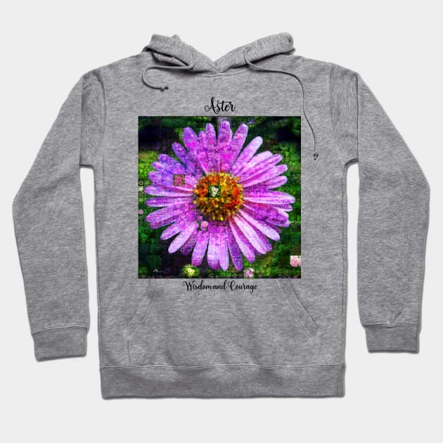 Aster Birth Month Flower September Hoodie by Symbolsandsigns